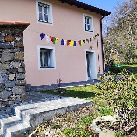 ヴェルナッツァ Casa Dei Giuggioliヴィラ エクステリア 写真