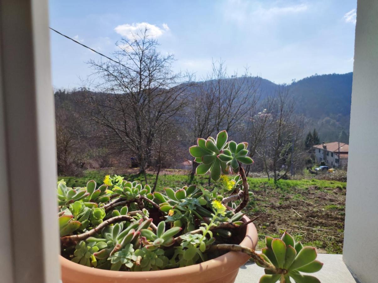 ヴェルナッツァ Casa Dei Giuggioliヴィラ エクステリア 写真